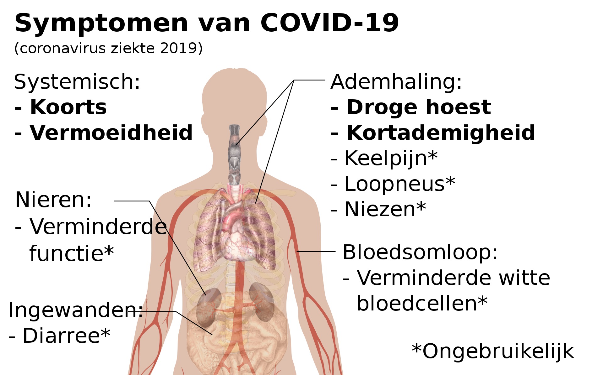 Coronavirus (COVID-19)